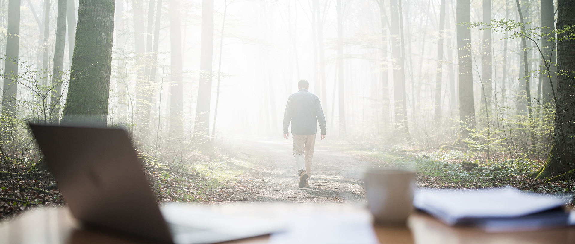 Person from behind stepping onto a forest path — nervous system no longer keeps the old pace, first pause after overload.